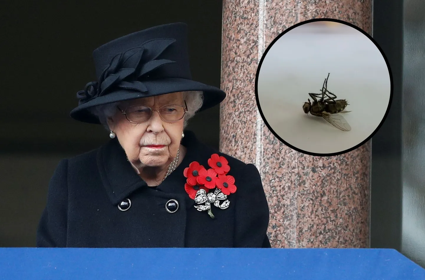 Elizabeth II alluvusse tööle pääsemiseks tuleb ka koristajatel läbida kummalisena tunduv «kärbsetest».