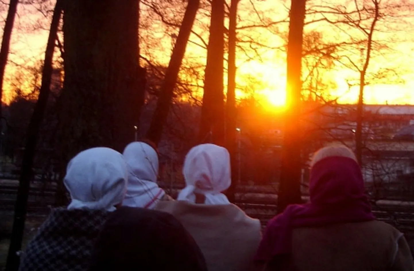 Raksta foto