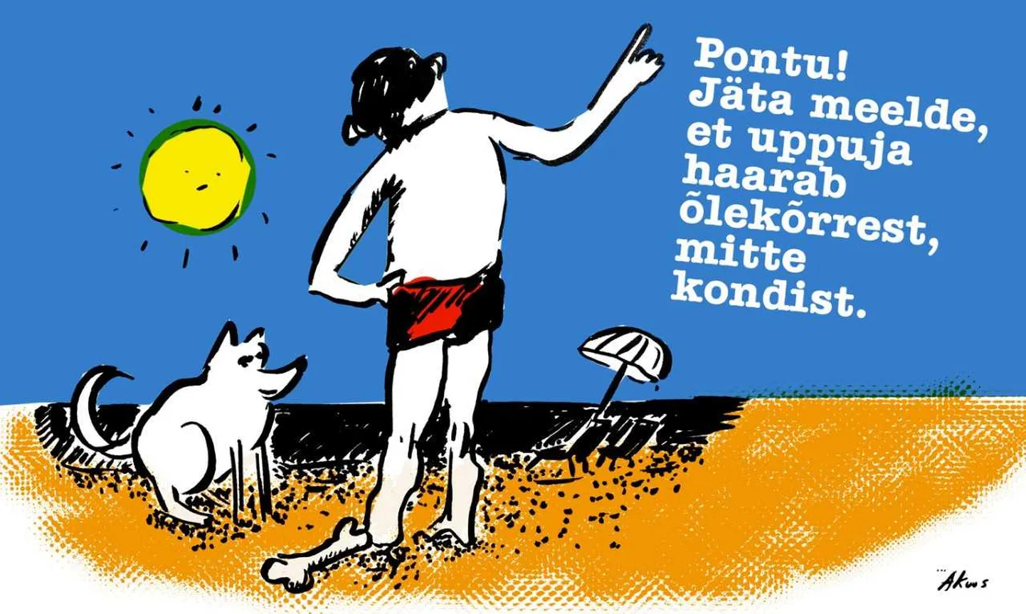 Artikli foto