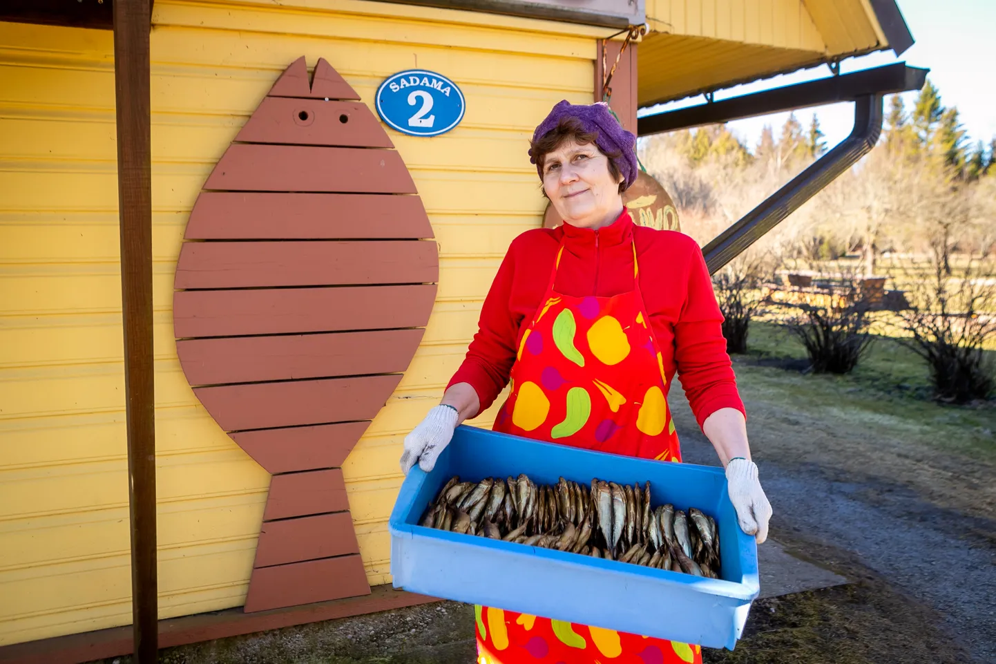 TIINA MAI sõnul pole kalanduse allakäik ainuüksi kõrgete kütusehindade küsimus, vaid kalavarud lihtsalt vähenevad ja seda suurte sammudega. "Kevadist suurt jääräimest jääb aasta-aastalt vähemaks ja vähemaks. Täitsa jänt, kas tuleval aastal üldse on!" muretses Mai.
