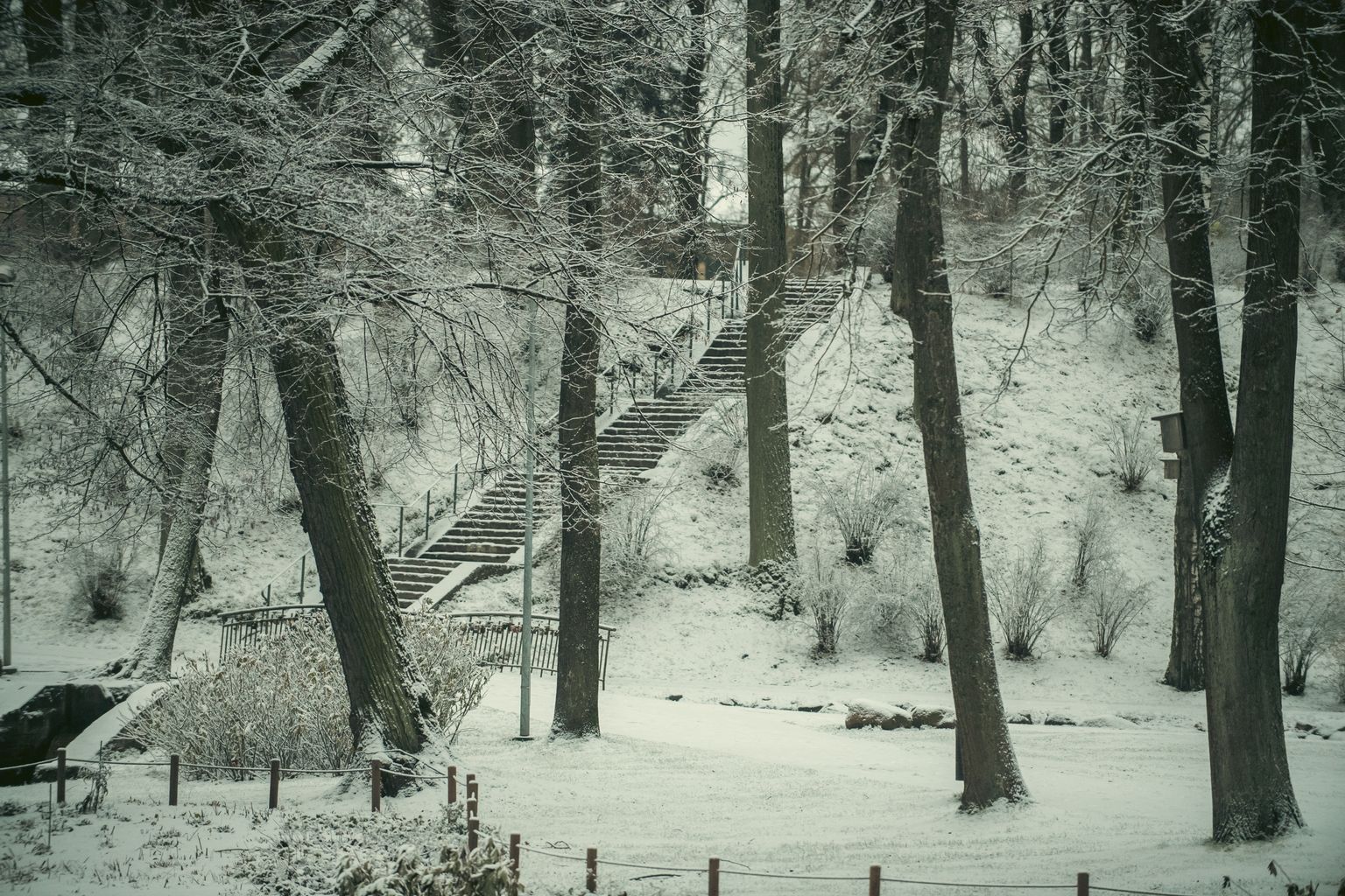 Pirmais sniegs Rīgā