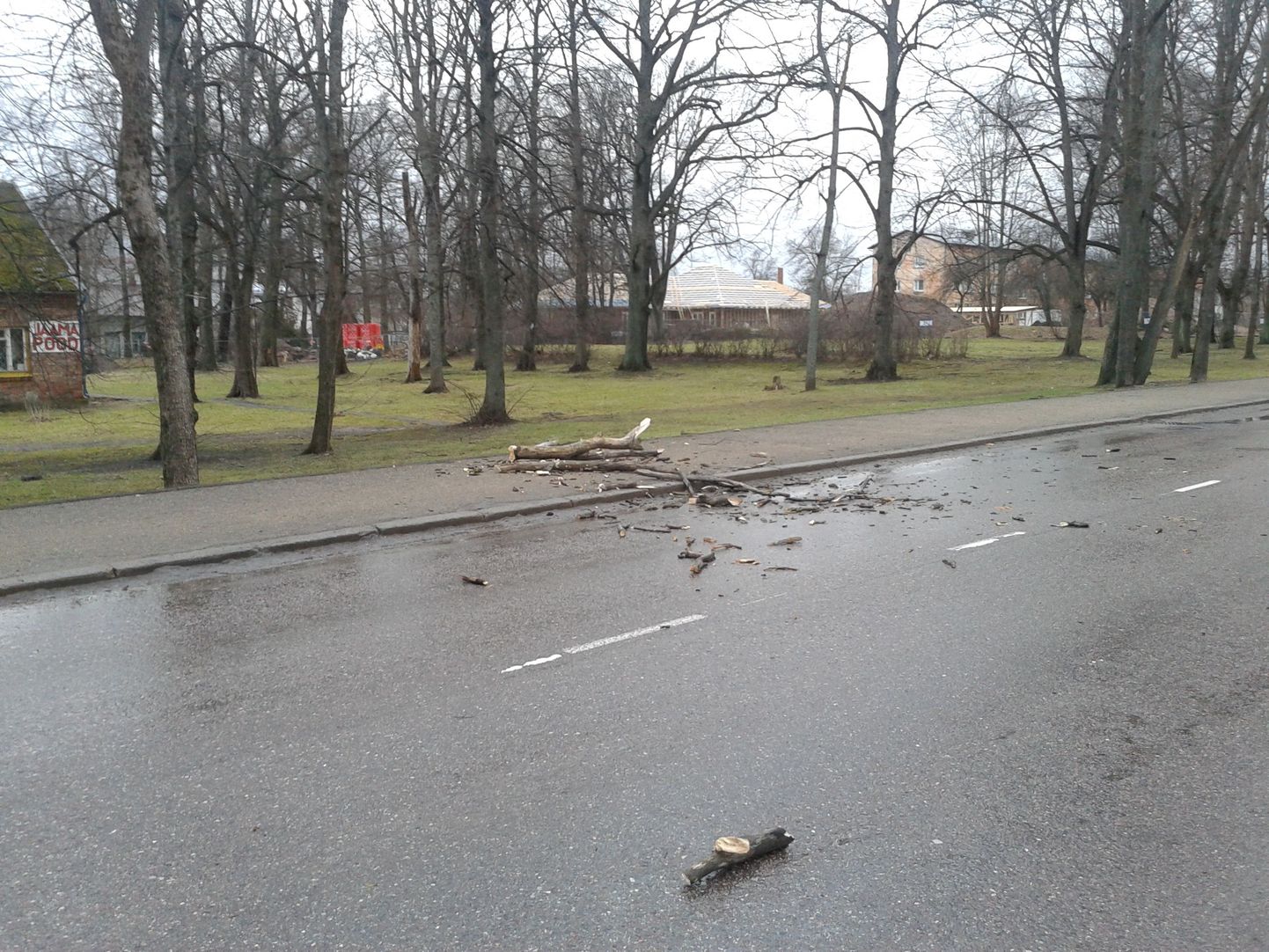 Tugev tuul võib lähipäevil Eestis kahju teha.