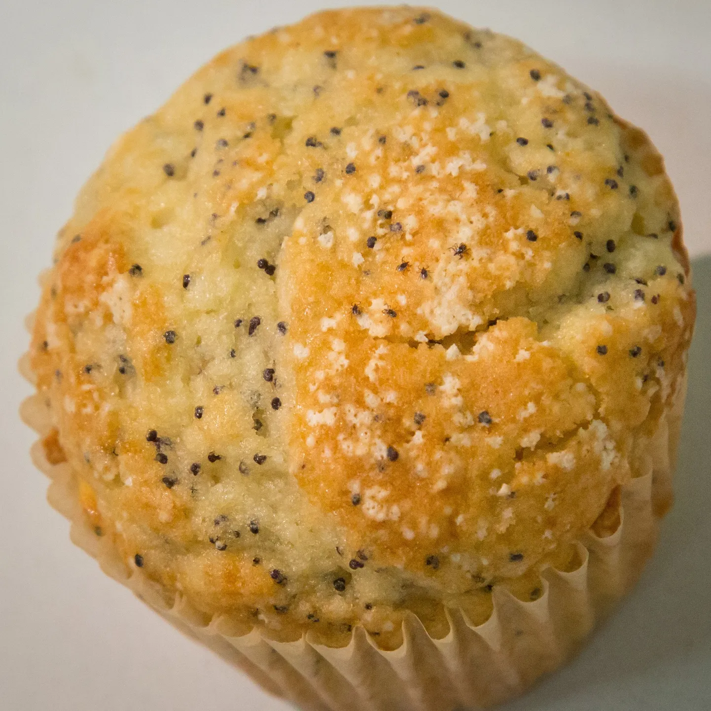 Leia muffinilt üles viis puuki.