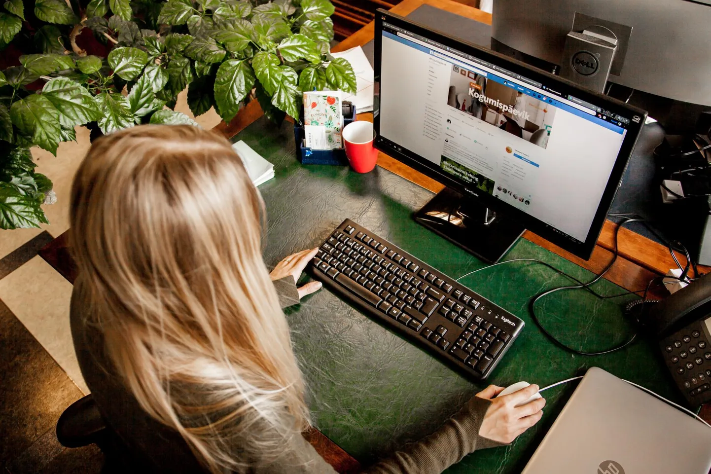 Facebooki Kogumispäeviku gruppi kuulub üle 22 000 liikme, kes kõik soovivad oma rahaasjad kontrolli alla saada.