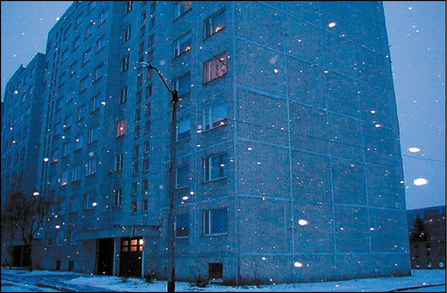 Фото статьи