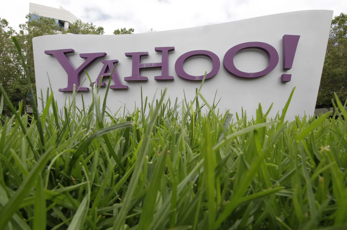 Yahoo logo.