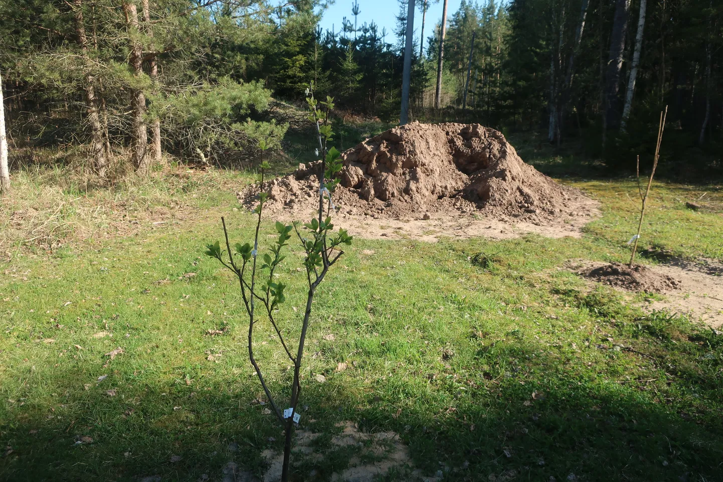 Muld on väärtuslik loodusvara, milleta ei saa hakkama ka aiapidajad.