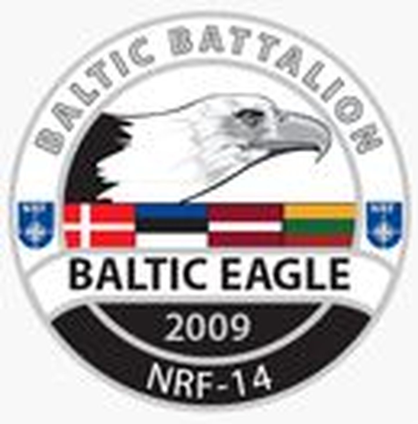 Baltic Eagle 2009 logo