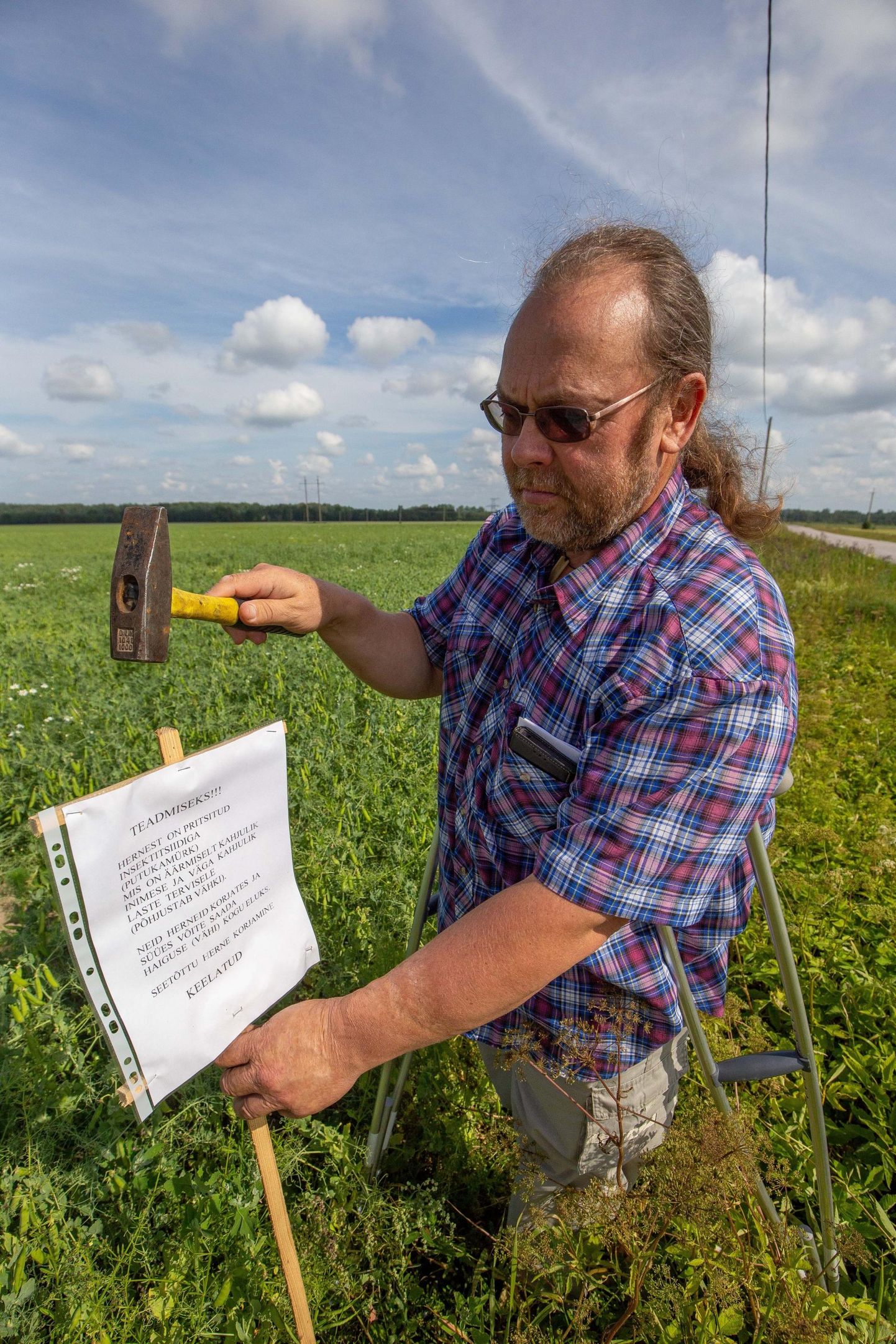 Eelmise aasta juulis pani Koit Teder hernekrattidele hoiatussildi põllu äärde. FOTO: Dmitri Kotjuh/Järva Teataja