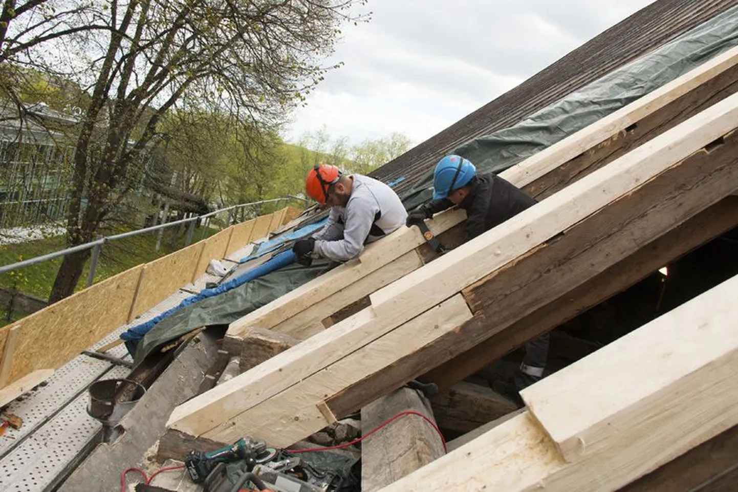 Rakvere Kolmainu koguduse kiriku restaureerimisel üllatas ehitusmehi, et vanade katuseplekkide taga oli haakrist.