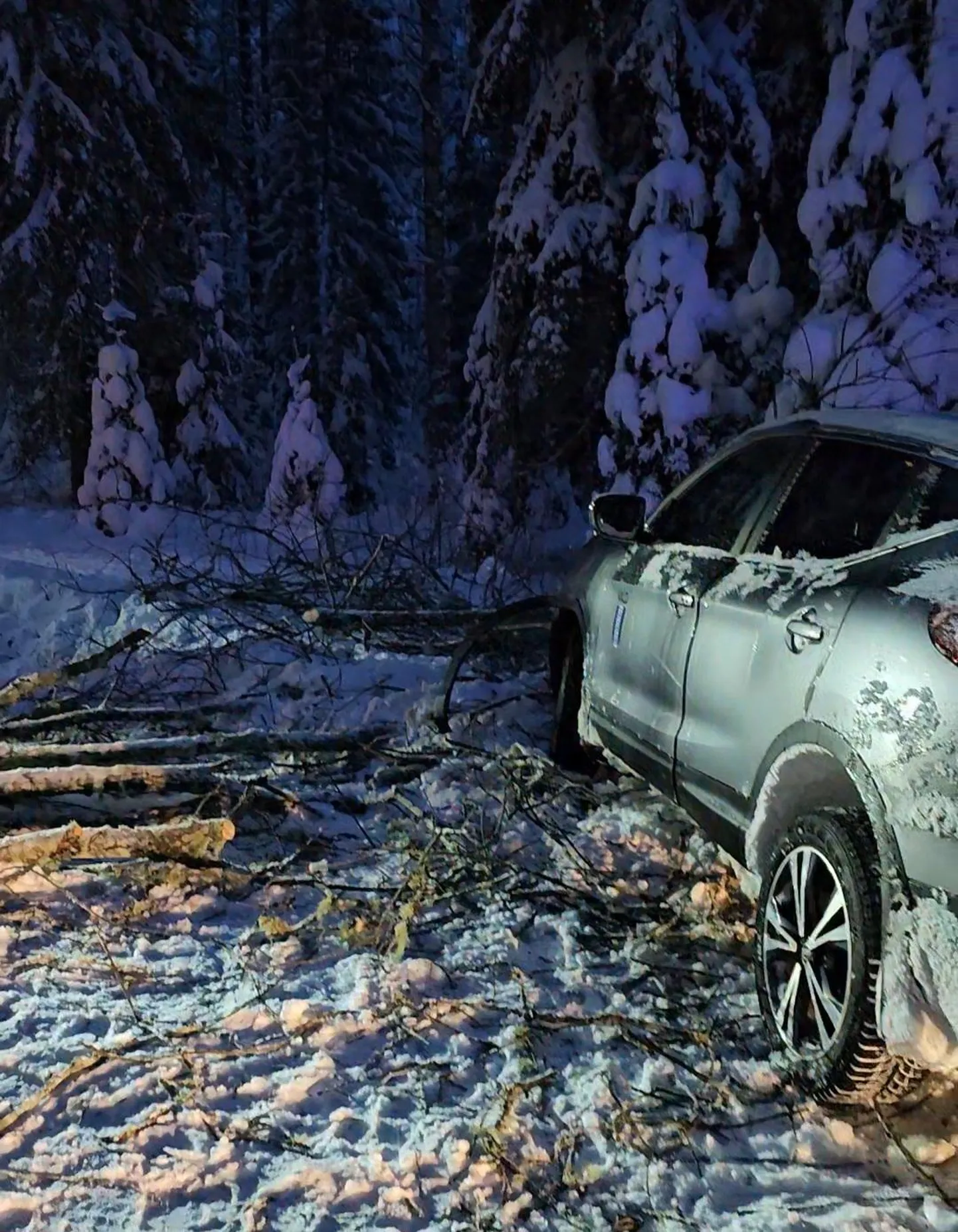 Õnnetusse sattunud auto Lavi külas Allika teel.