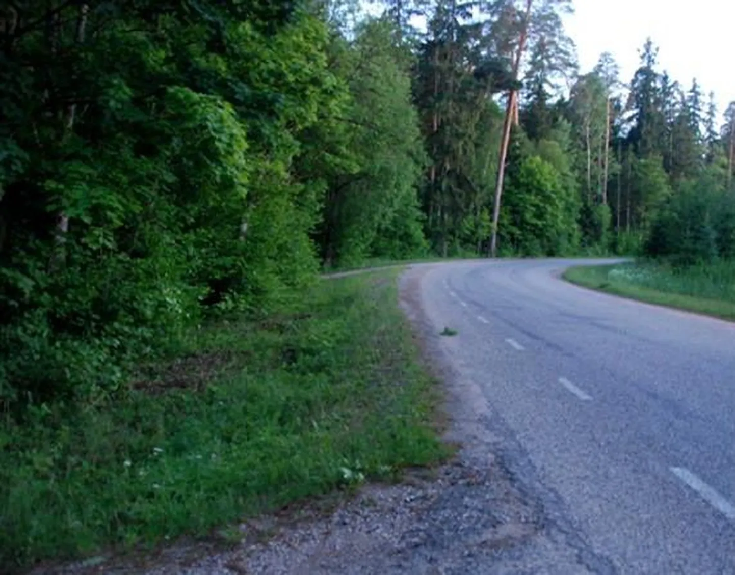 Avariipaik Luunja-Kabina teel.