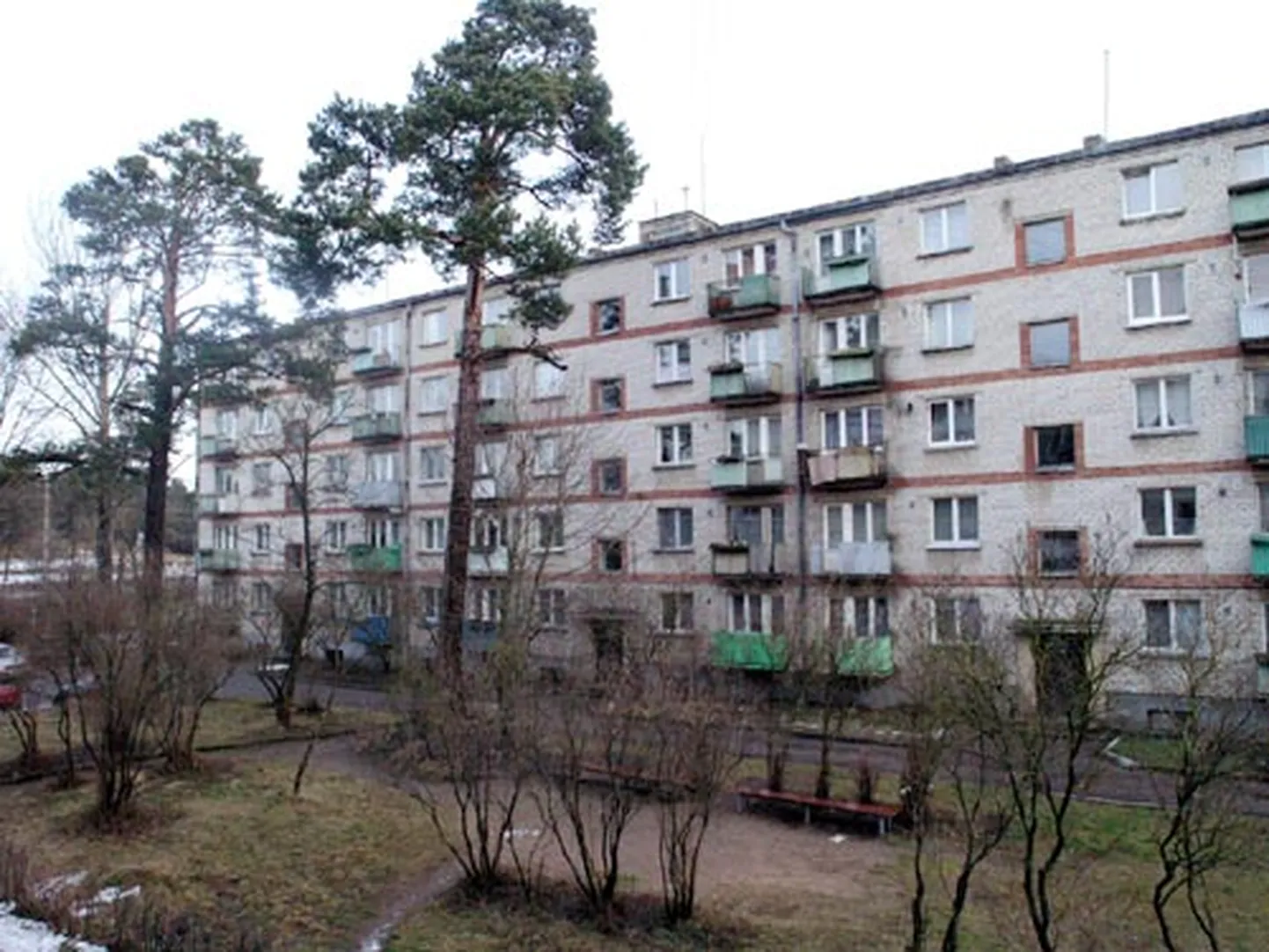 Raksta foto