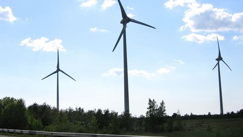 Доля потребленной возобновляемой энергии в Эстонии была выше среднего в ЕС