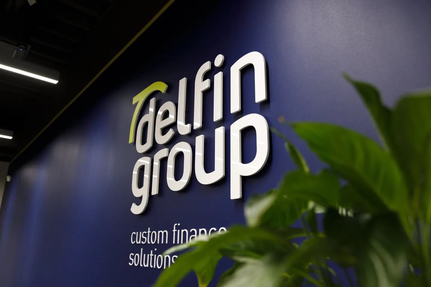 DelfinGroup logo.