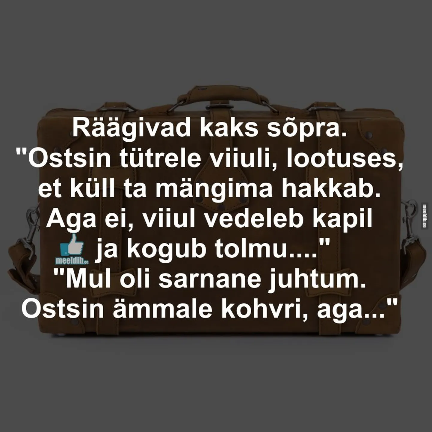 Artikli foto