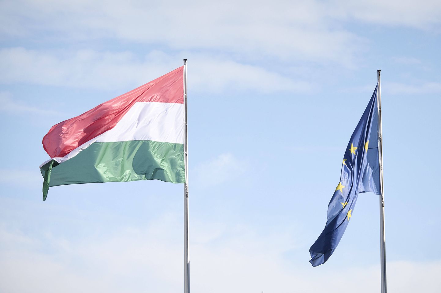 Ungari ja Euroopa Liidu lipp. Foto on illustratiivne.