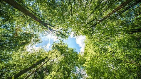 Megla v Sloveniji, na vzhodu države napovedujejo nevihte