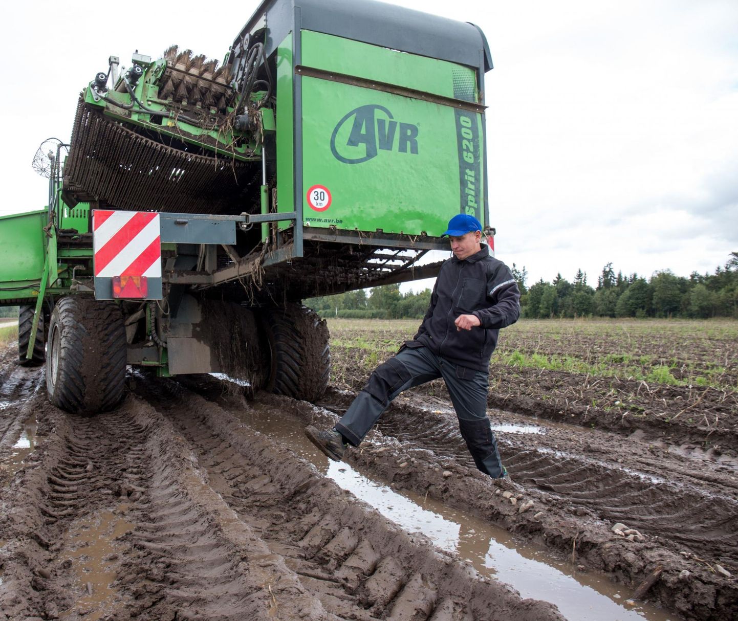 Kolga-Jaani vallas Koorti talus koristati mullu kartulit põldudelt, mis olid osaliselt vee all. Fotol on Koorti talu juhatuse liige Janek Lass.