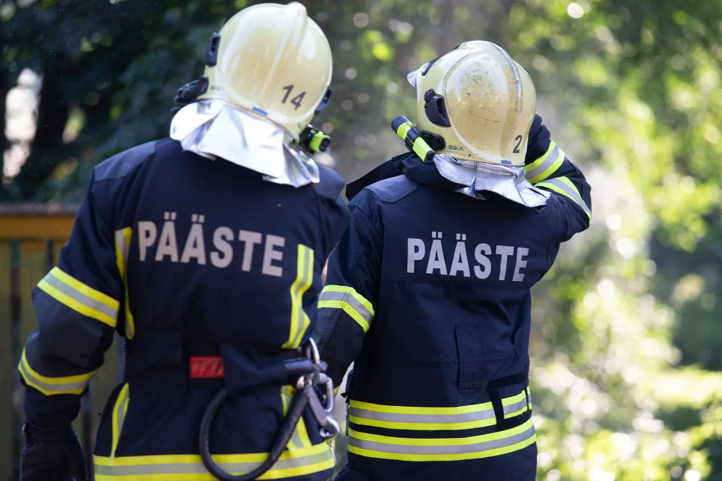 Koera väljaaitamiseks läks vaja päästjate abi.