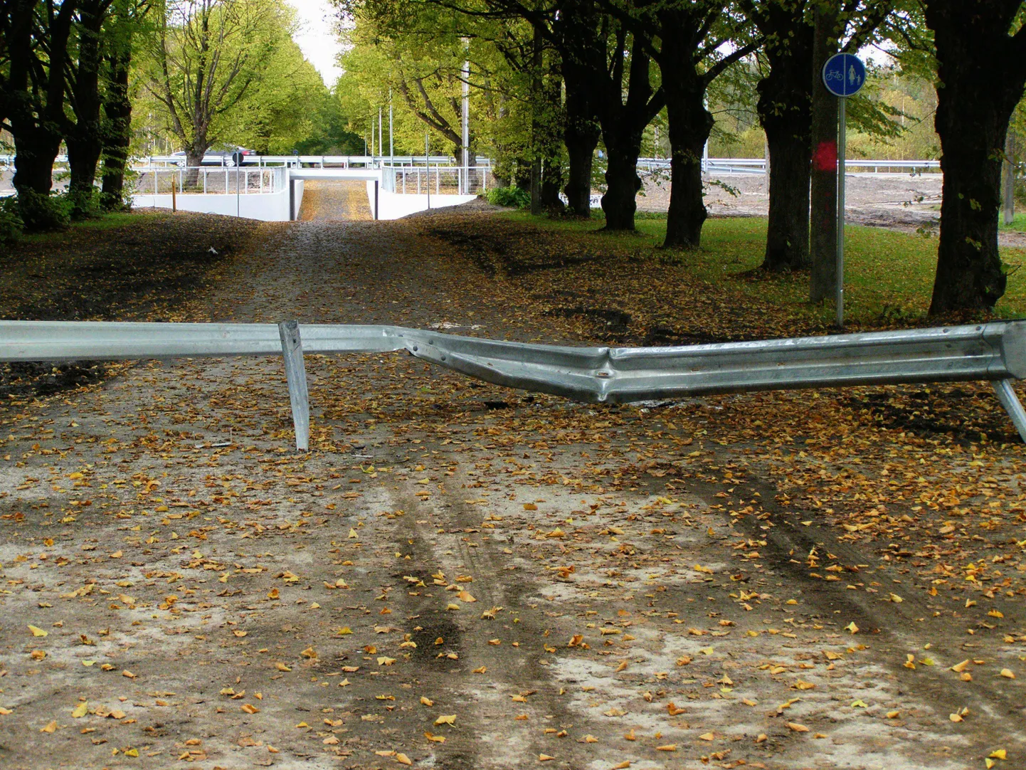 Puruks sõidetud piire Uus-Sauga tänaval kergliiklustunneli juures.