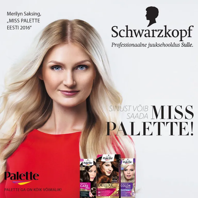 Miss Palette plakat.