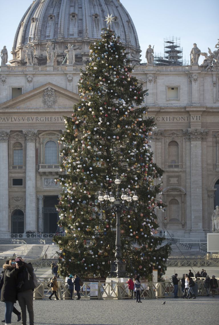 Vatikani jõulupuu