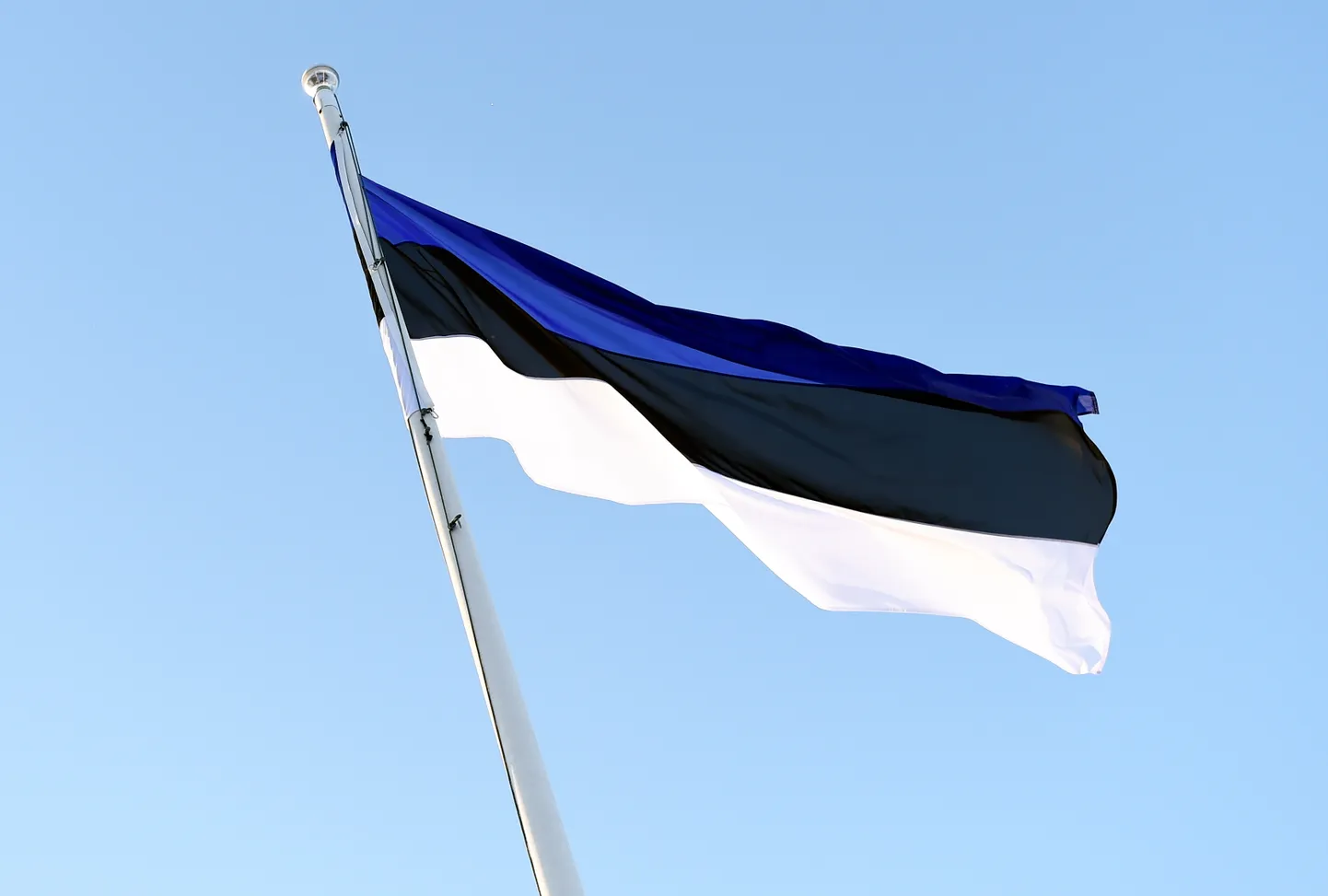 Igaunijas karogs Rīgas pils Svētā Gara tornī.