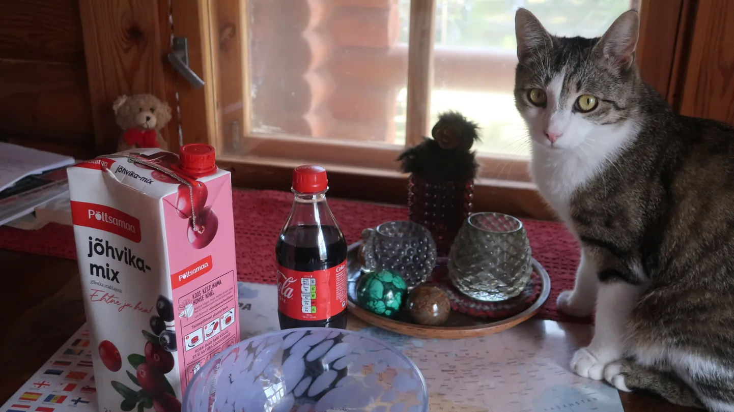 Kuigi suhkrut sisaldavad mahlajoogid ja kokakoola on juba niigi hüppeliselt kallinenud, lähevad need veel kallimaks.