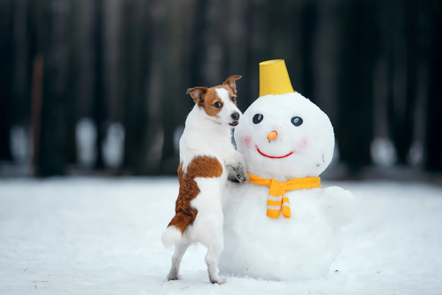 Снеговик иллюстративный.