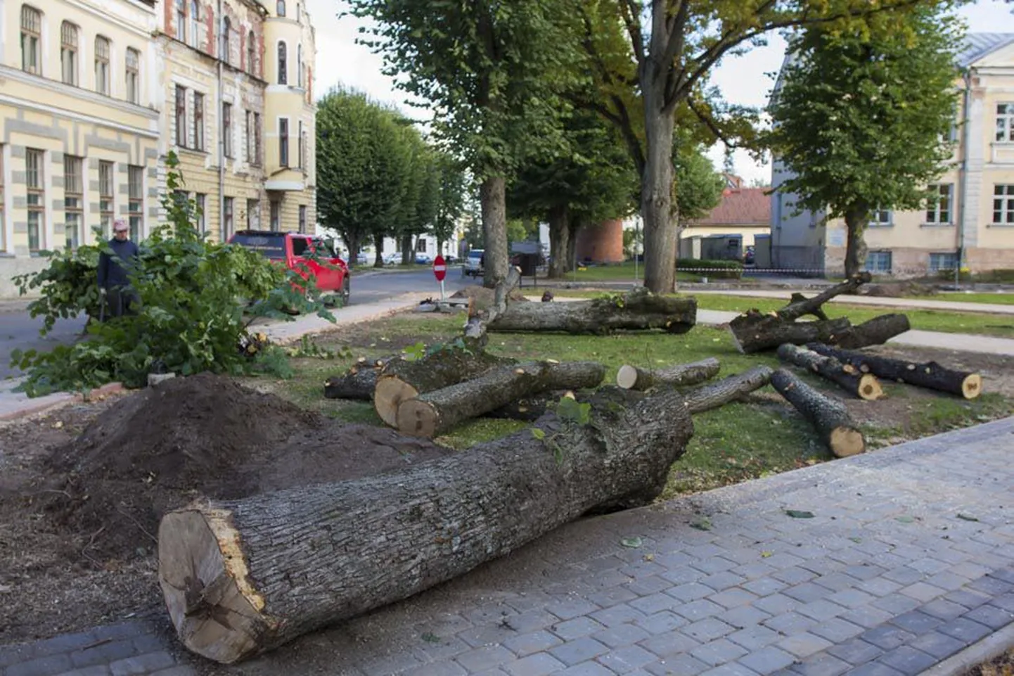 Augustis alanud tööd Laidoneri pargis lõpevad enne järgmist suve, pärnad on kadumas praegu.