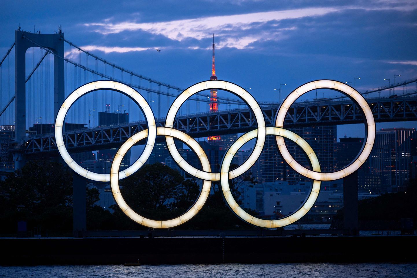 Олимпийские кольца в Токио. Иллюстративное фото.