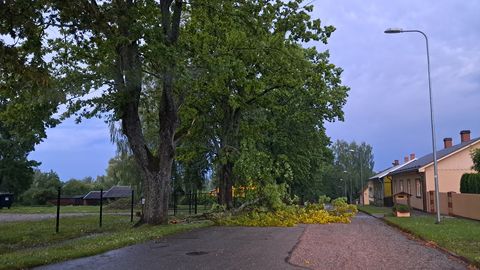 Tugev vihm ja tuul võivad nädalavahetusel tuua üleujutusi ja elektrikatkestusi