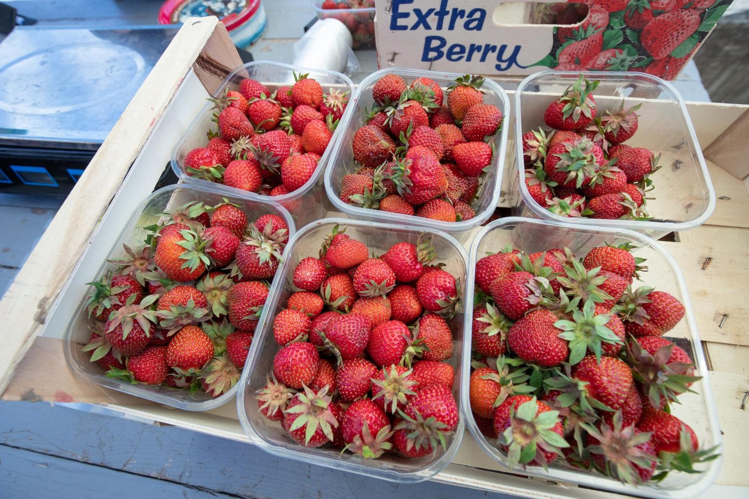 Maasikas on suve algul üks oodatuim kaup turul.