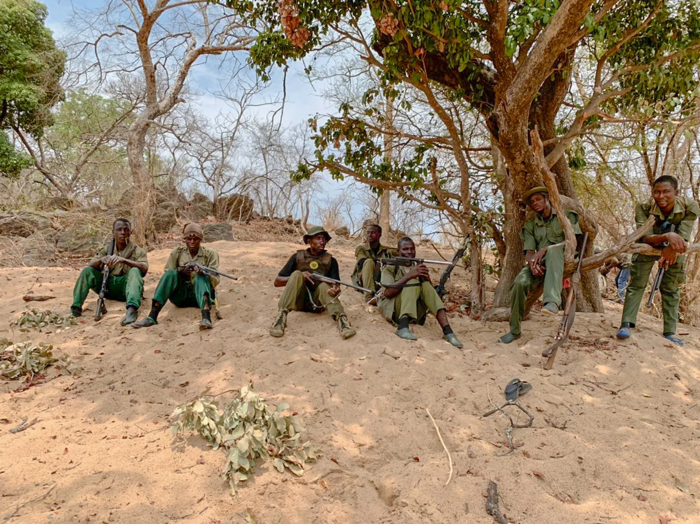 Pargivahid Lääne-Aafrikas. Foto on illustreeriv.