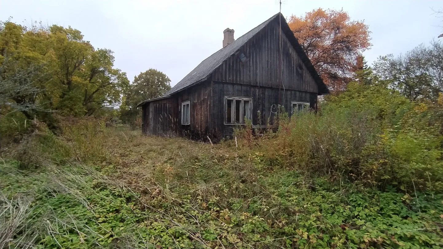 Raksta foto