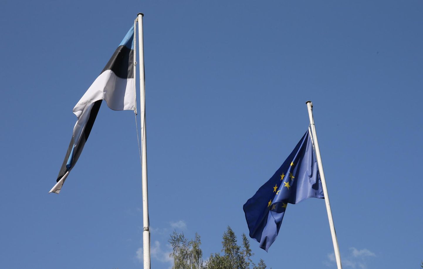 Et Kambja vallal on sümbolid endiselt valimata, lehvib Ülenurmel vallamaja ees Eesti lipu kõrval, kus varem oli valla lipp, hoopis Euroopa Liidu lipp. 