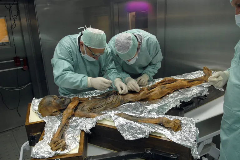 Jäämees Ötzi / Handout/Reuters/Scanpix