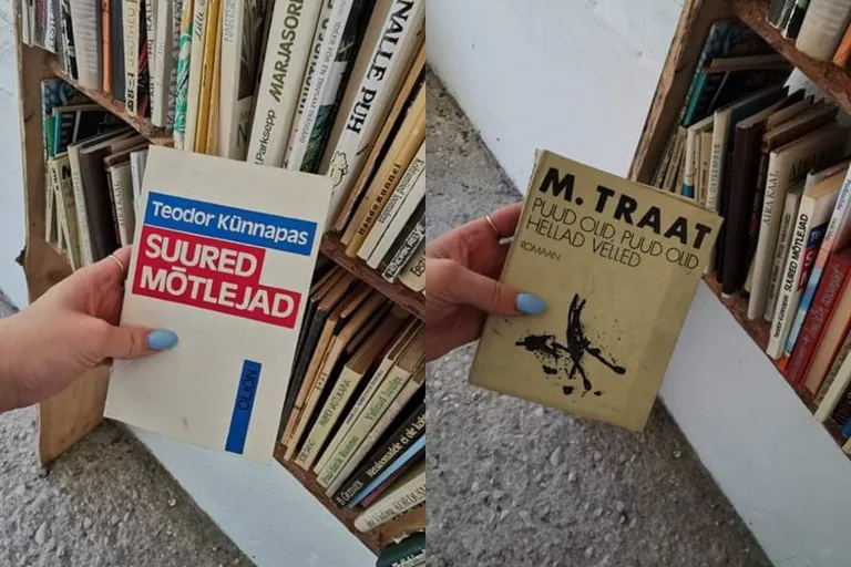 Riiulitest leiab Teodor Künnapasi teose, Mats Traadi romaani jpm.