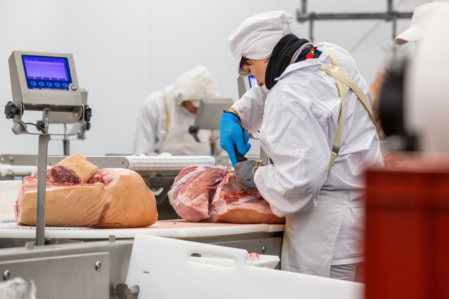 Võidukas meeskond pälvib Nõo lihatööstuse asutaja Toomas Kruustüki nimelisest auhinnafondist 5000 eurot.