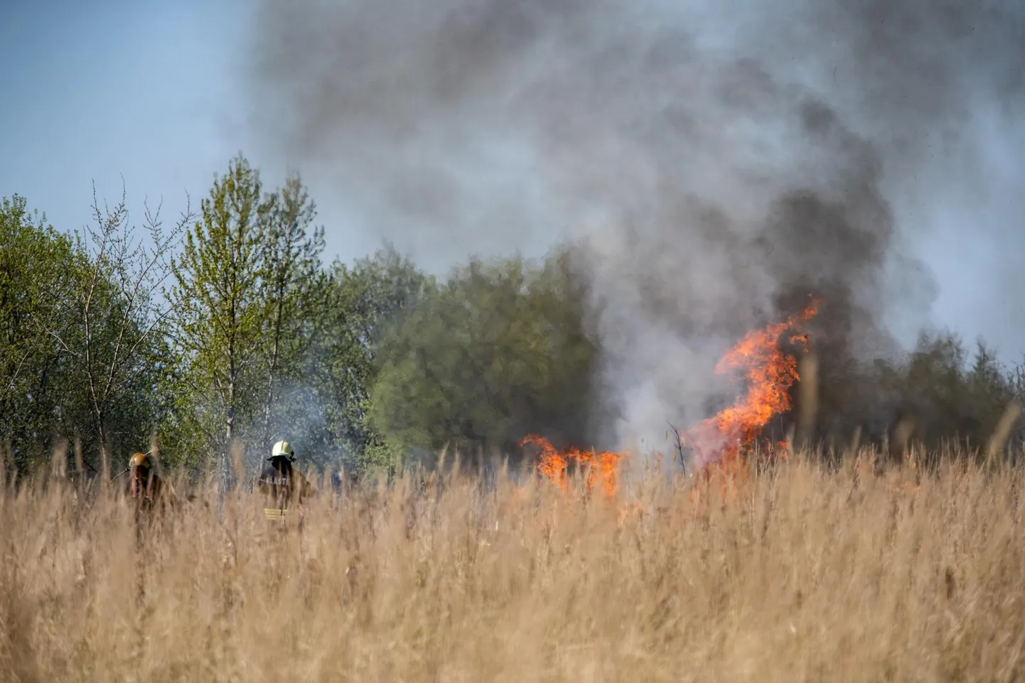 Päästeamet tuletab meelde, et loodus on kuiv ja äärmiselt tuleohtlik.