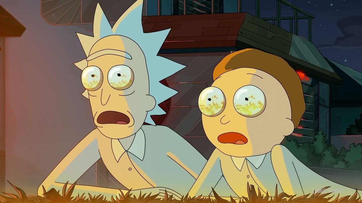 Ülipopulaarne Adult Swimi animaseriaal «Rick ja Morty» hakkas jooksma 2013. aastal.