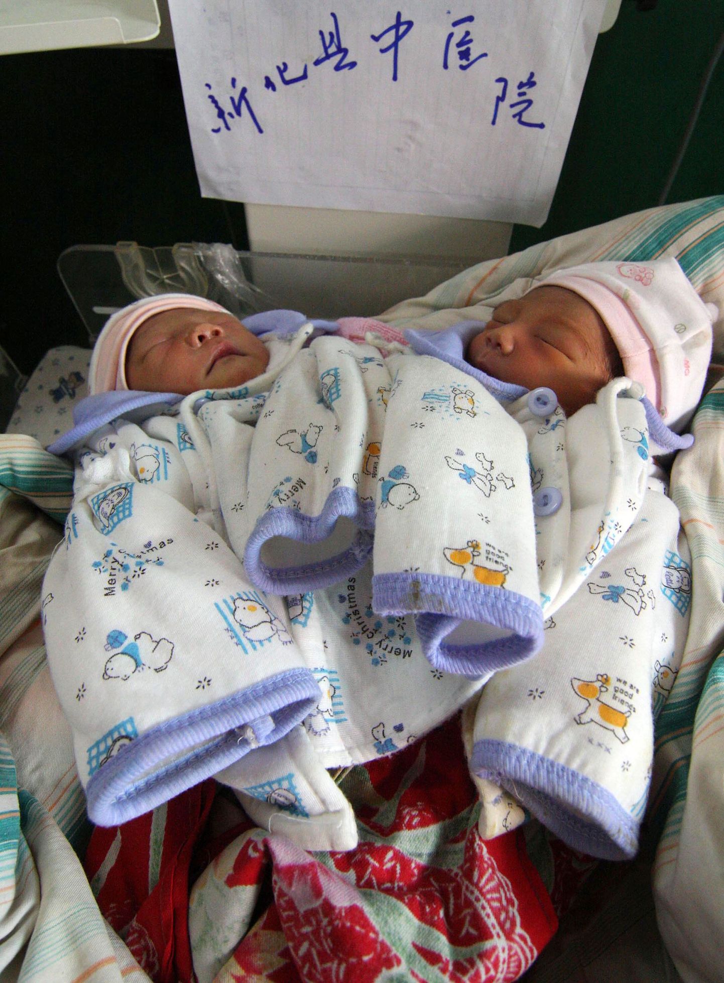 Hiinas Xinhua linnas 16. märtsil sündinud siiami kaksikud