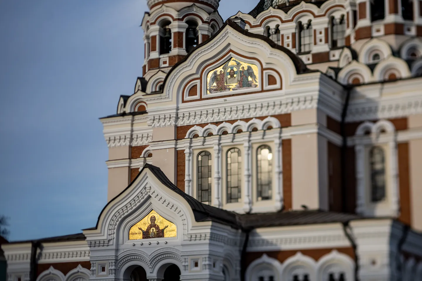 Фото статьи