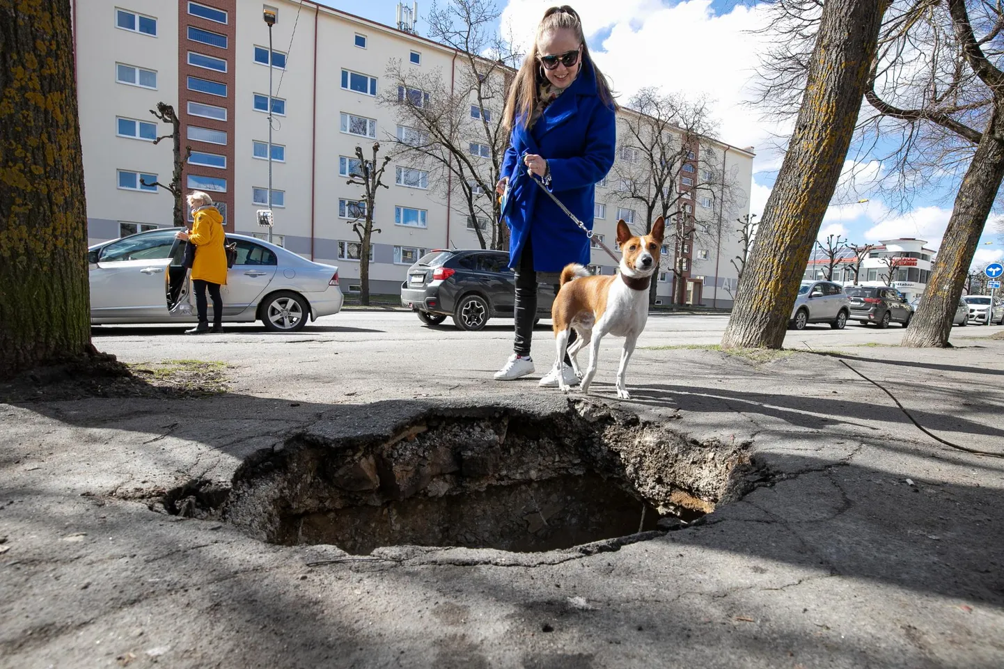 Auk tekkis Laiale tänavale ilmselt teisipäeval.