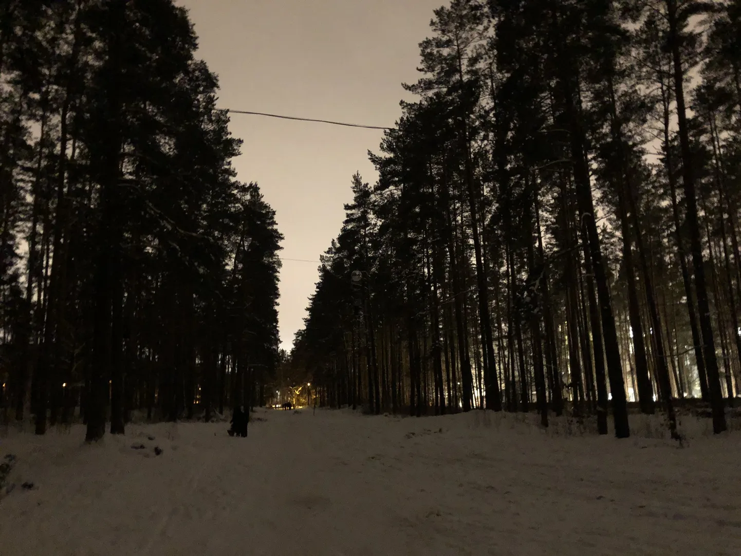 Raksta foto