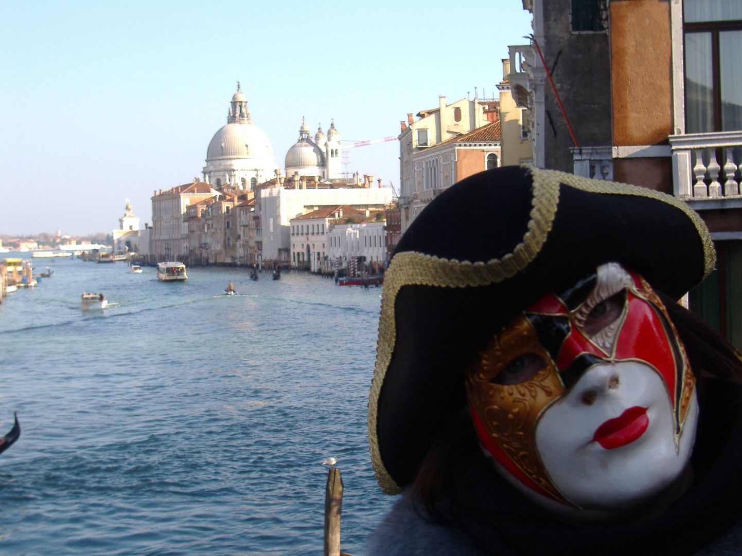 Карнавал в Венеции 2010