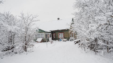 Как на самом деле пропал маленький Андрей? Впечатления соседей и поисковиков