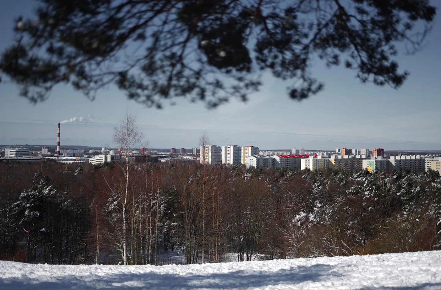 Eluasemelaenude jääk on aastaga kasvanud 8,7 protsenti ehk 750,5 miljoni euro võrra, teatas keskpank.