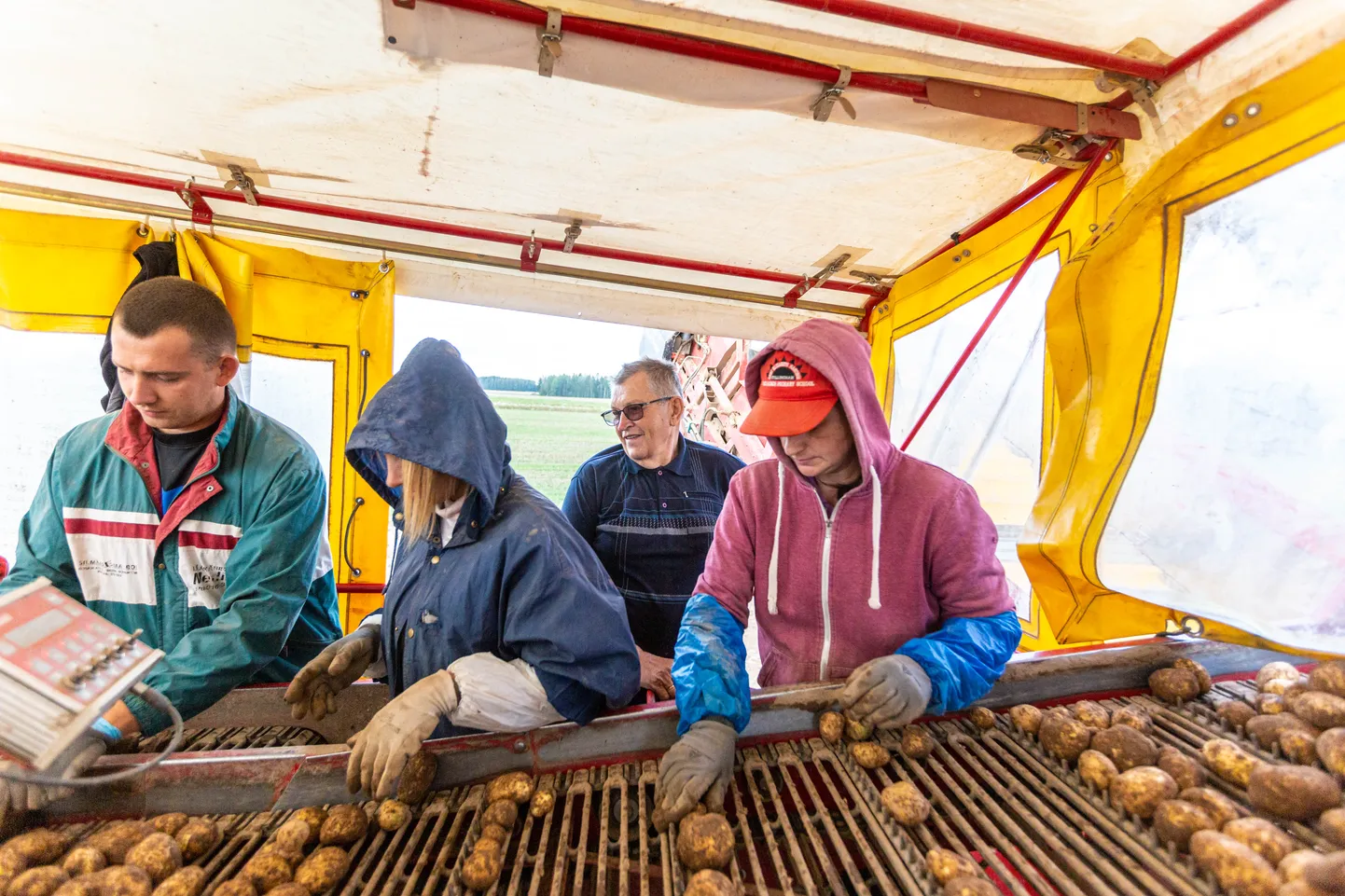Jaagumäe talu peremees Mart Timmi sügisest kartulivõttu jälgimas. Foto on illustratiivne.